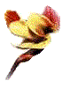 Vivante